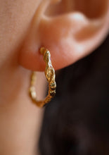 Earrings treasure twist