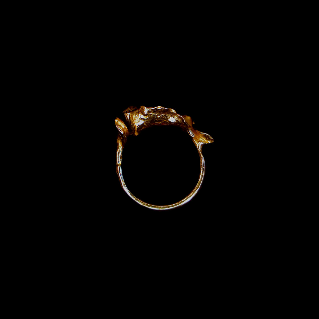 Ring Lily