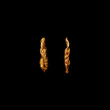 Earrings treasure twist